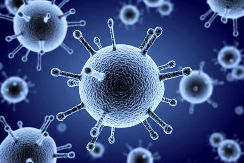 Covid Flu